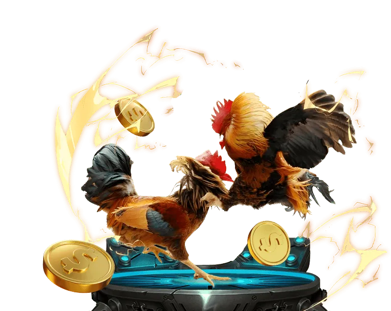 Hoàn trả không giới hạn hàng ngày